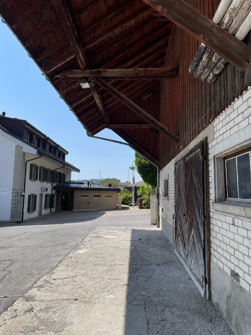 Ancien rural, Savigny